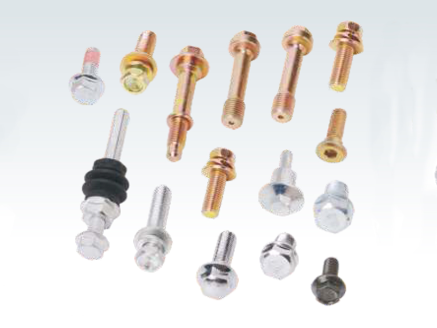 Motorcycle bolts